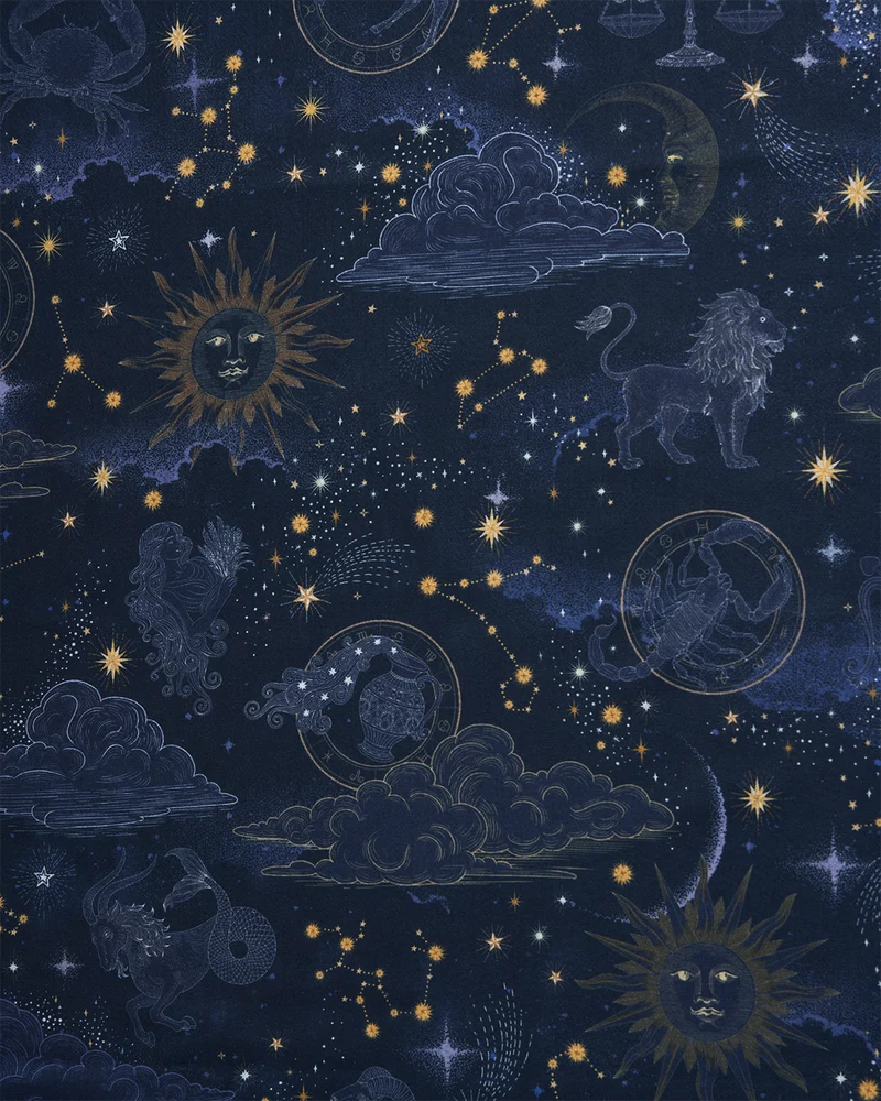 Zodiac Long Fringed Scarf in Navy