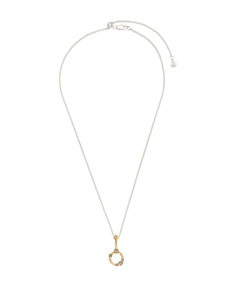 Larkspur Magnifying Glass Necklace in Gold