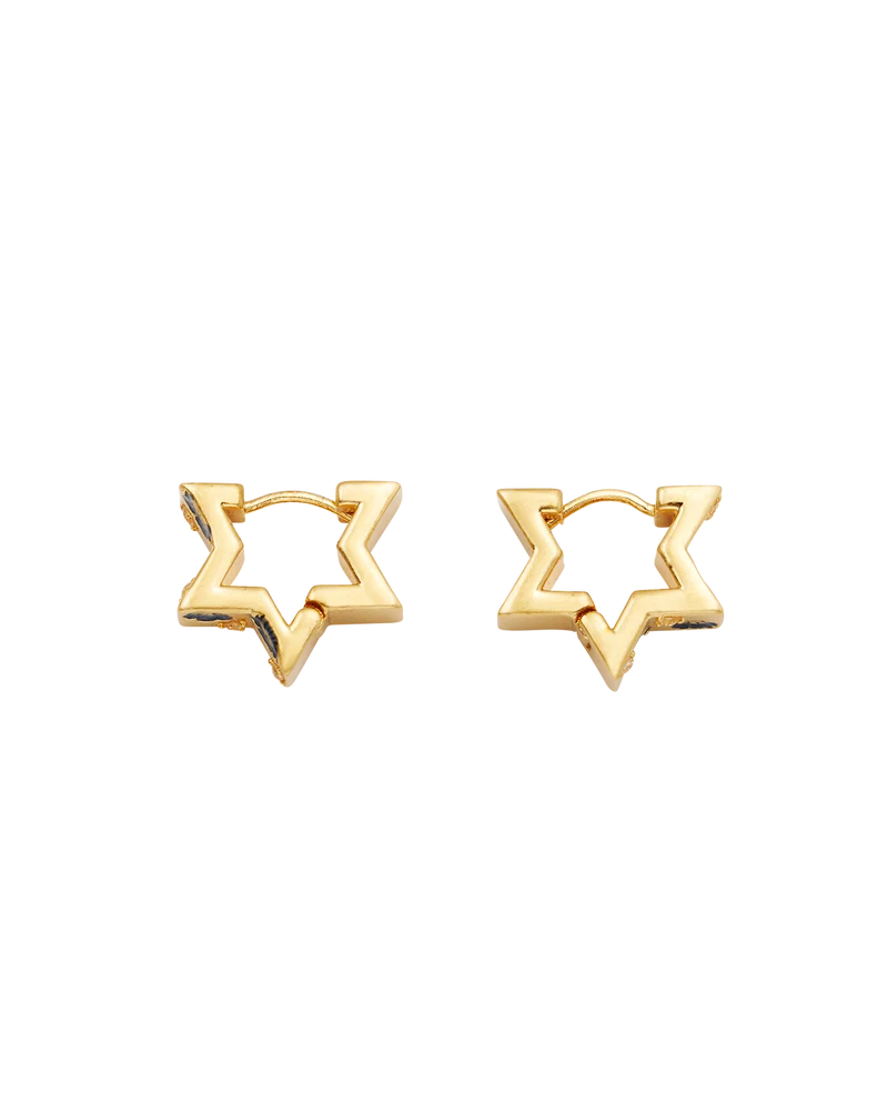 Larkspur Huggie Earrings in Gold