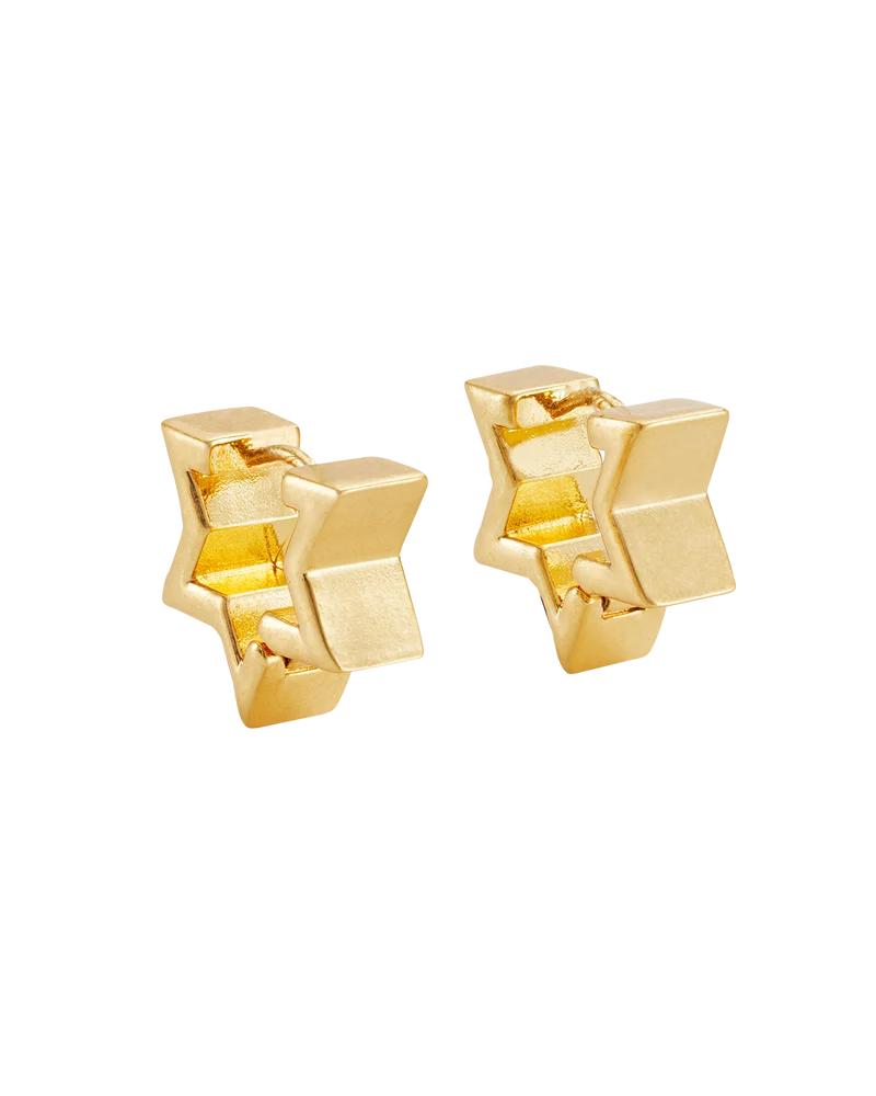 Larkspur Huggie Earrings in Gold