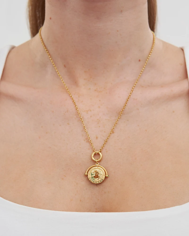Capricorn Zodiac Spinner Necklace in Gold
