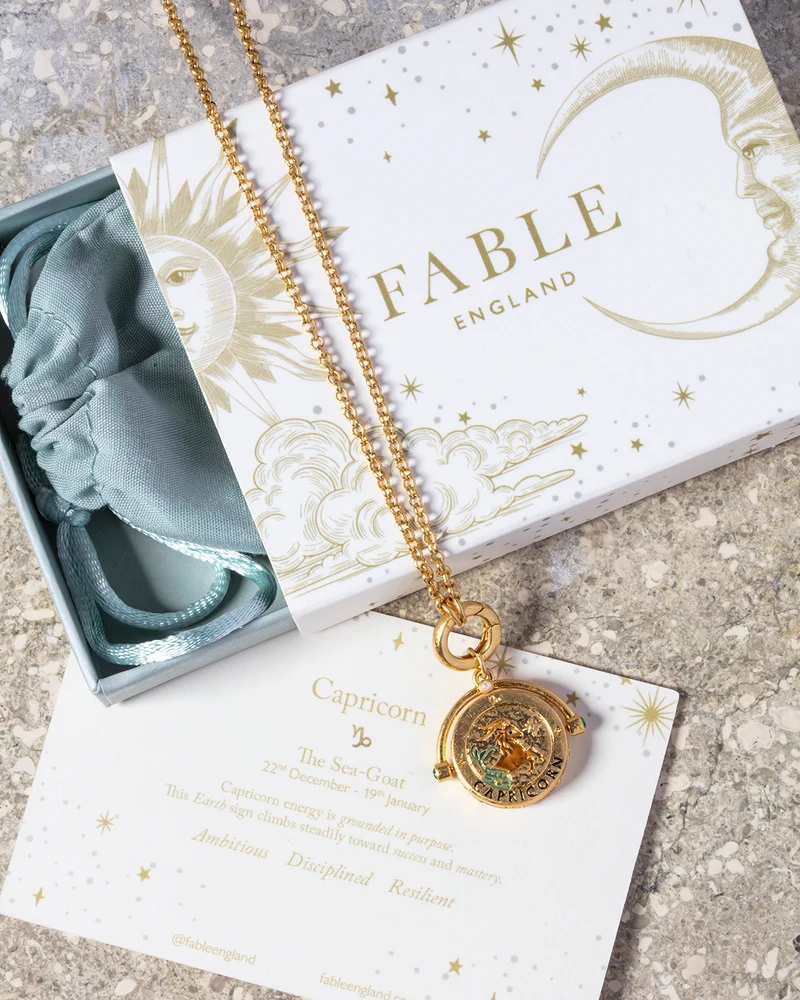 Capricorn Zodiac Spinner Necklace in Gold