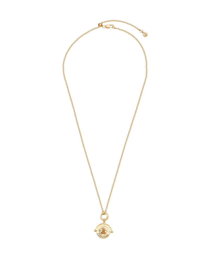 Capricorn Zodiac Spinner Necklace in Gold