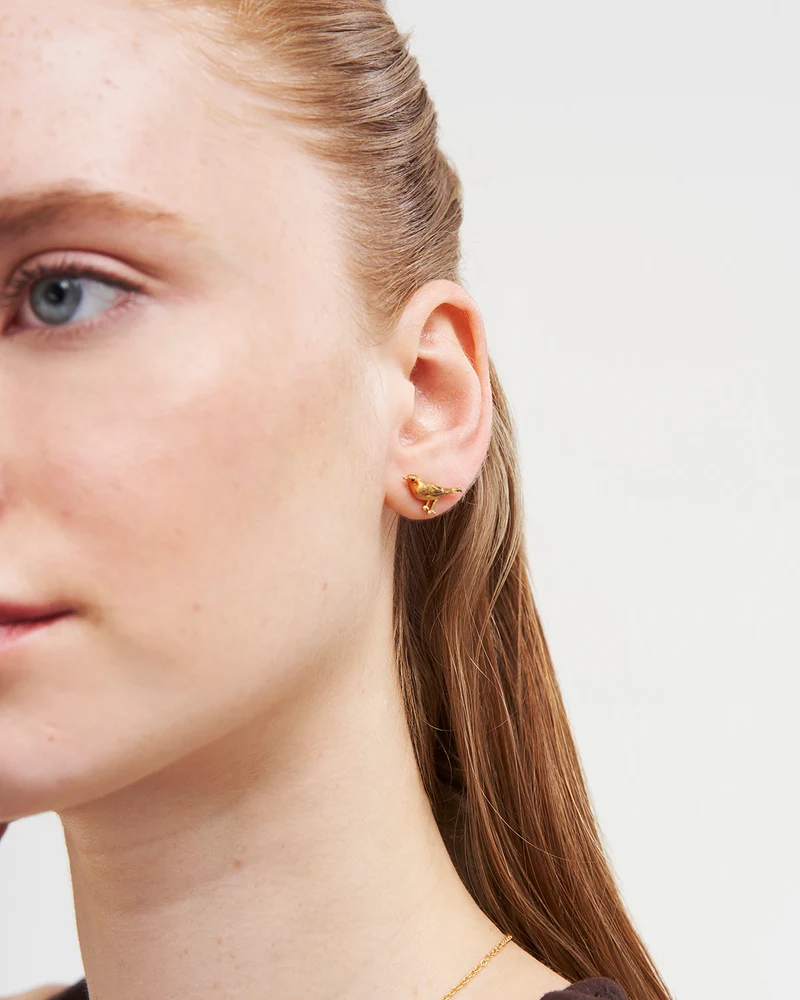Robin Stud Earrings in Gold