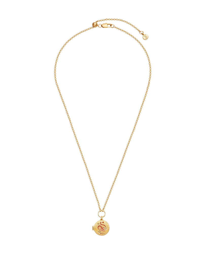 Snake & Blossom Locket Necklace in Gold