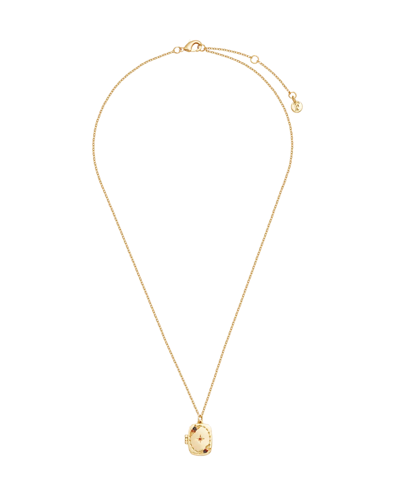 Orla Hedgerow Locket Necklace in Gold