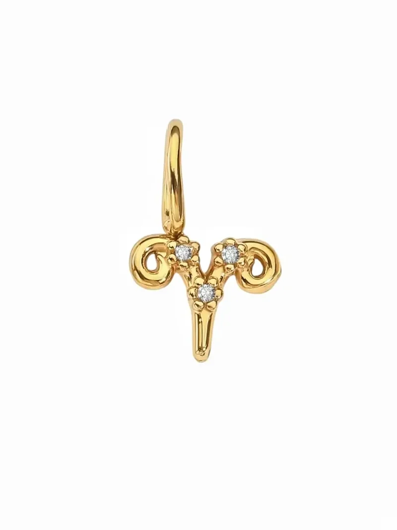 Sternzeichen Zirkon Charm