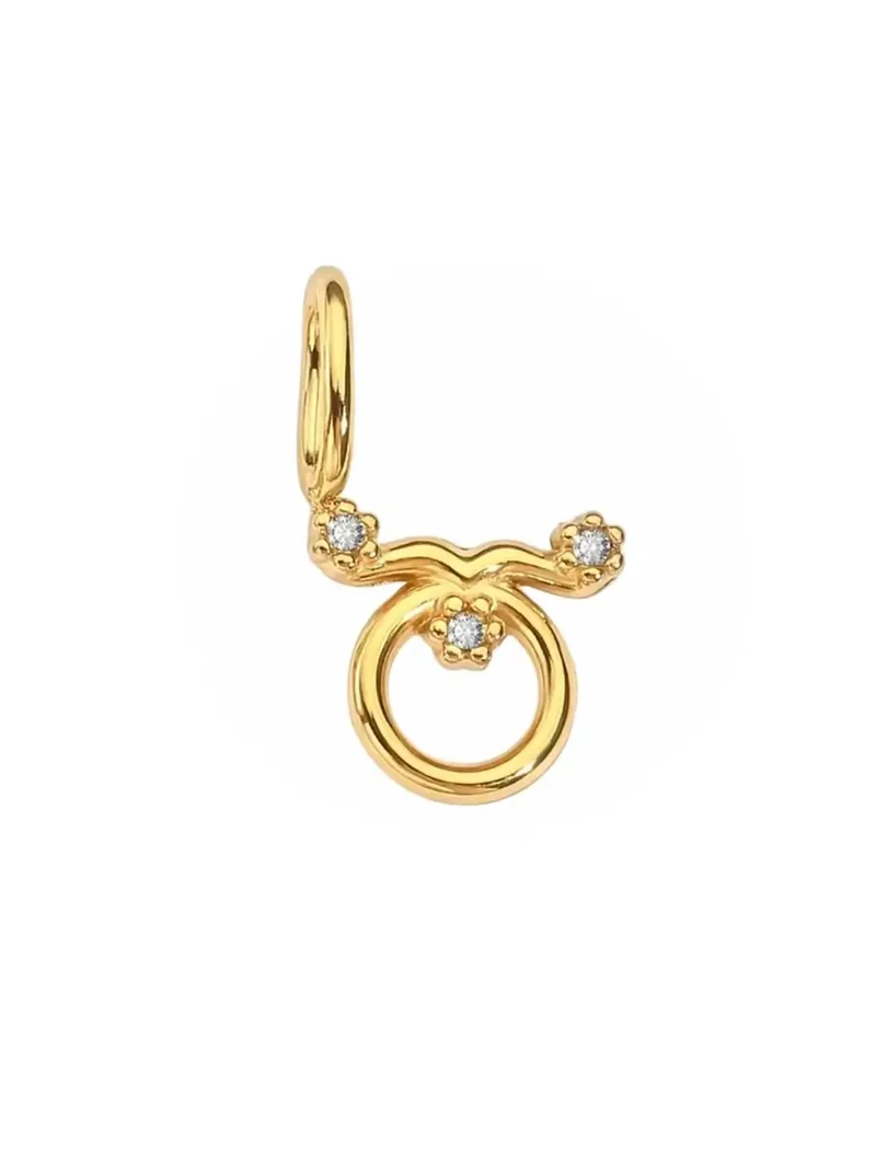 Sternzeichen Zirkon Charm