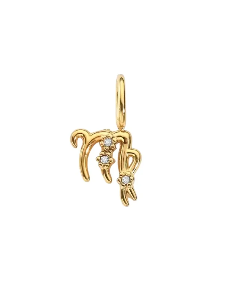 Sternzeichen Zirkon Charm