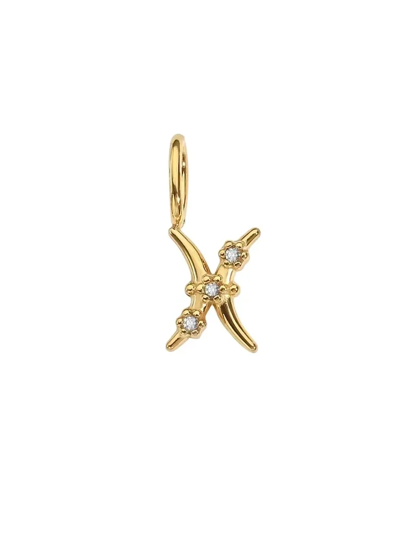 Sternzeichen Zirkon Charm