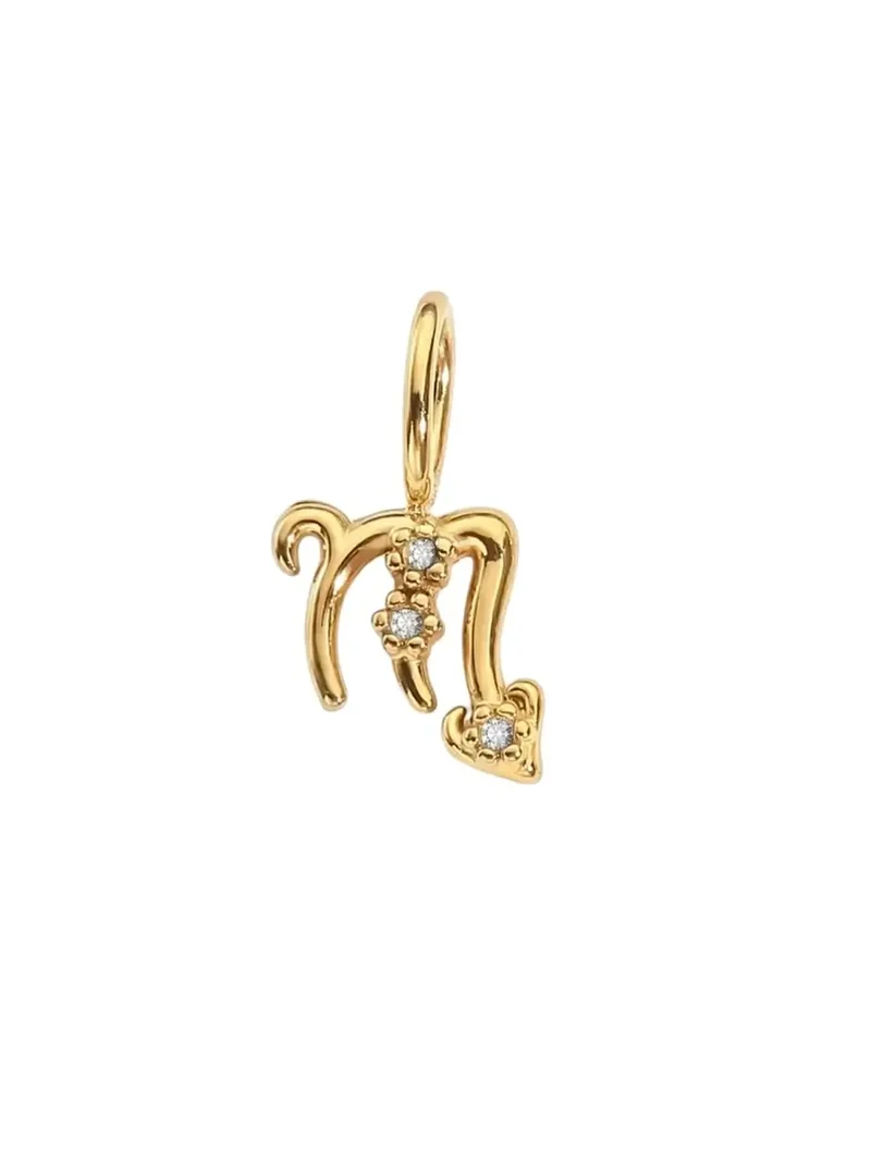 Sternzeichen Zirkon Charm