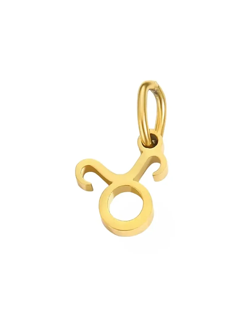 Sternzeichen Charm