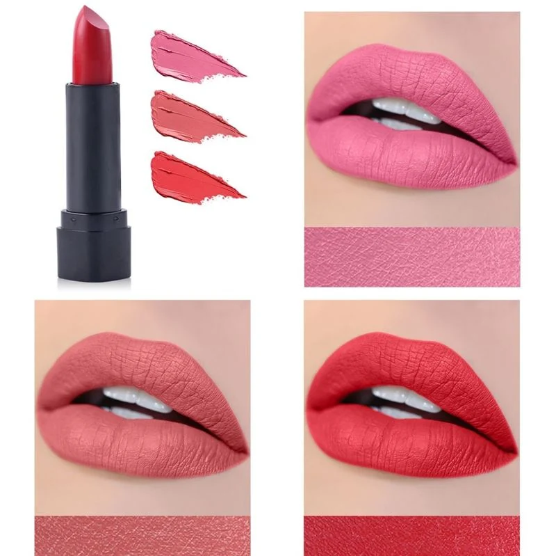 Miss Rose Make-up Set – Professional Color Spirit Kit