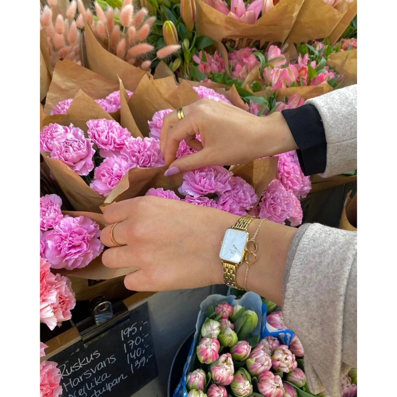 Daniel Wellington Quadro Link damen Uhr Gold DW00100622