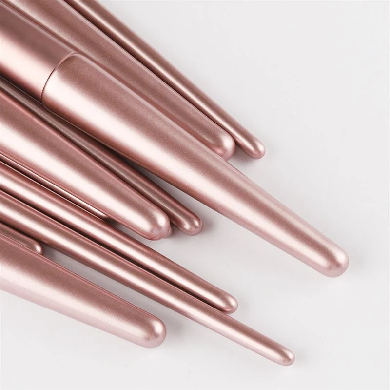 Technique PRO Radiance Make-up-Pinsel-Set – 11 Make-up-Pinsel