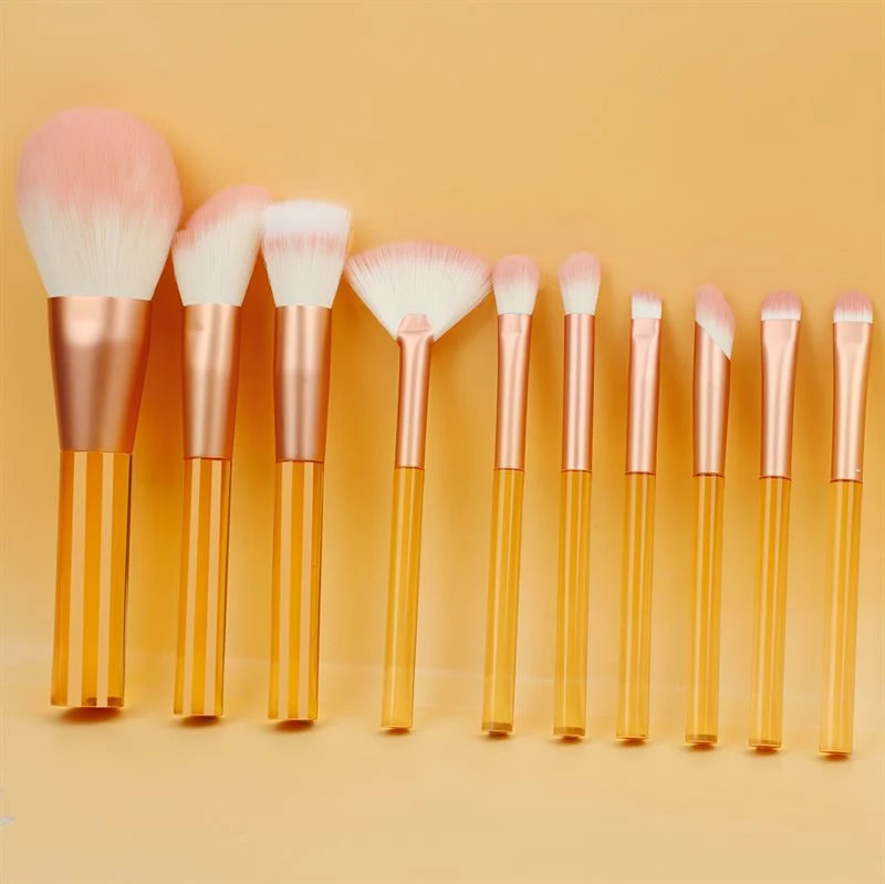 Technique PRO Translucent Perfection Make-up-Pinsel-Set – 9 Make-up-Pinsel mit Tasche (ORANGE)