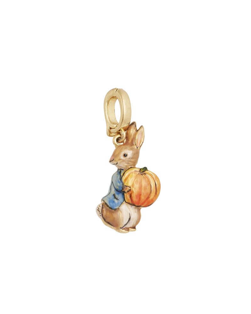 Fable England x Peter Rabbit Pumpkin Charm