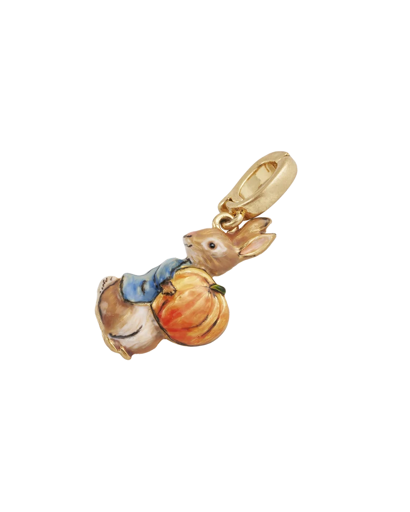 Fable England x Peter Rabbit Pumpkin Charm