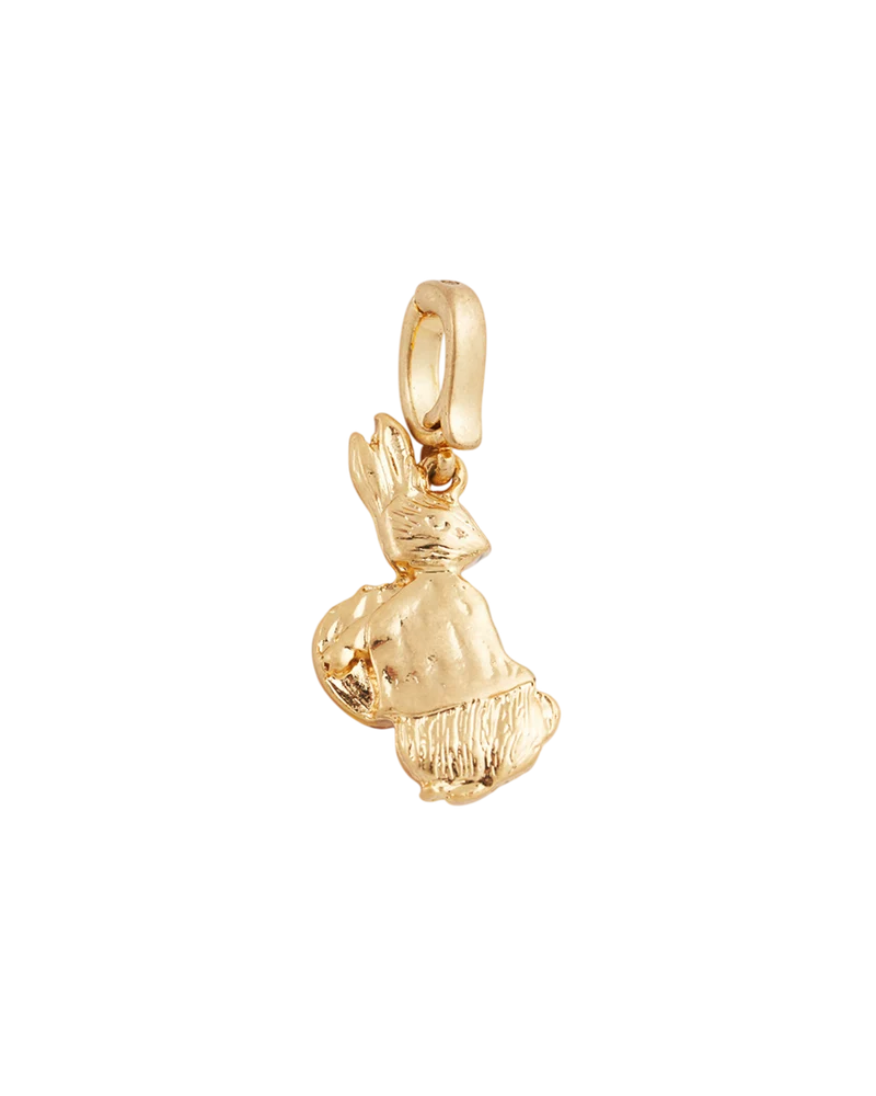 Fable England x Peter Rabbit Pumpkin Charm