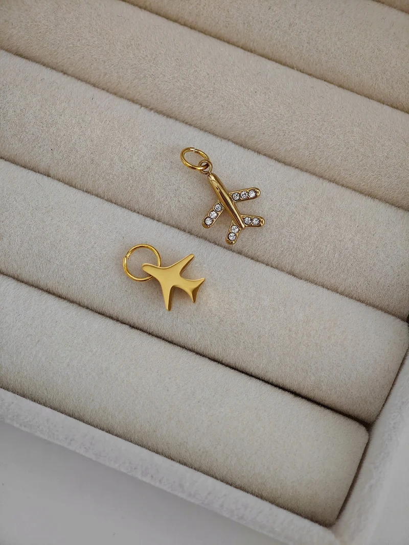 Shinny Plane Charm
