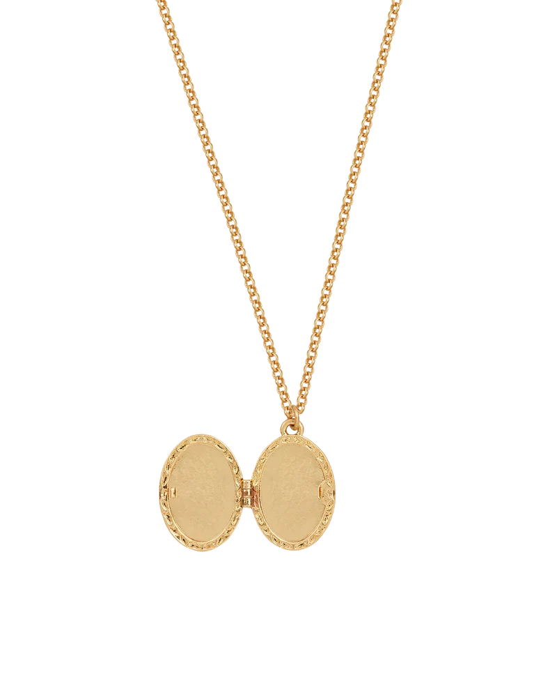 Gold Robin & Blackberry Locket Necklace