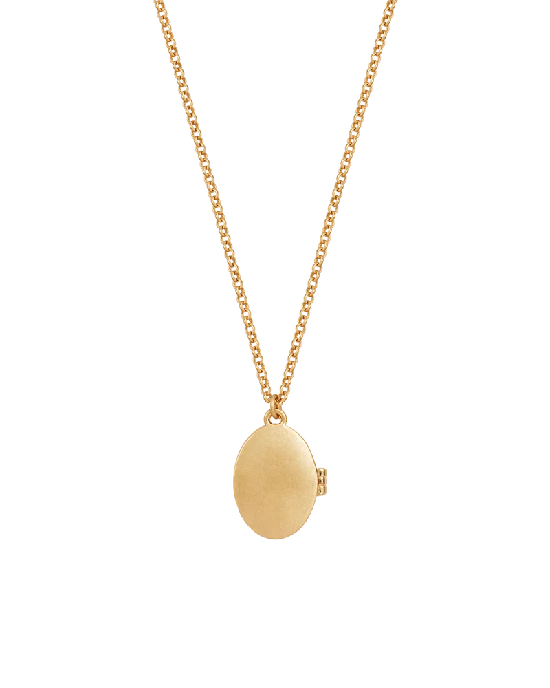 Gold Robin & Blackberry Locket Necklace