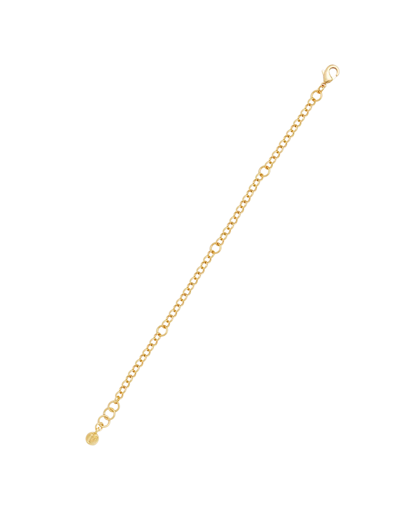 Gold Charm Chain Bracelet
