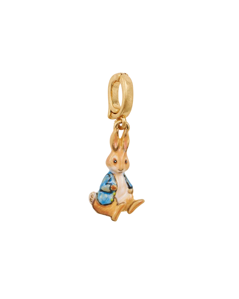 Fable England x Peter Rabbit Charm
