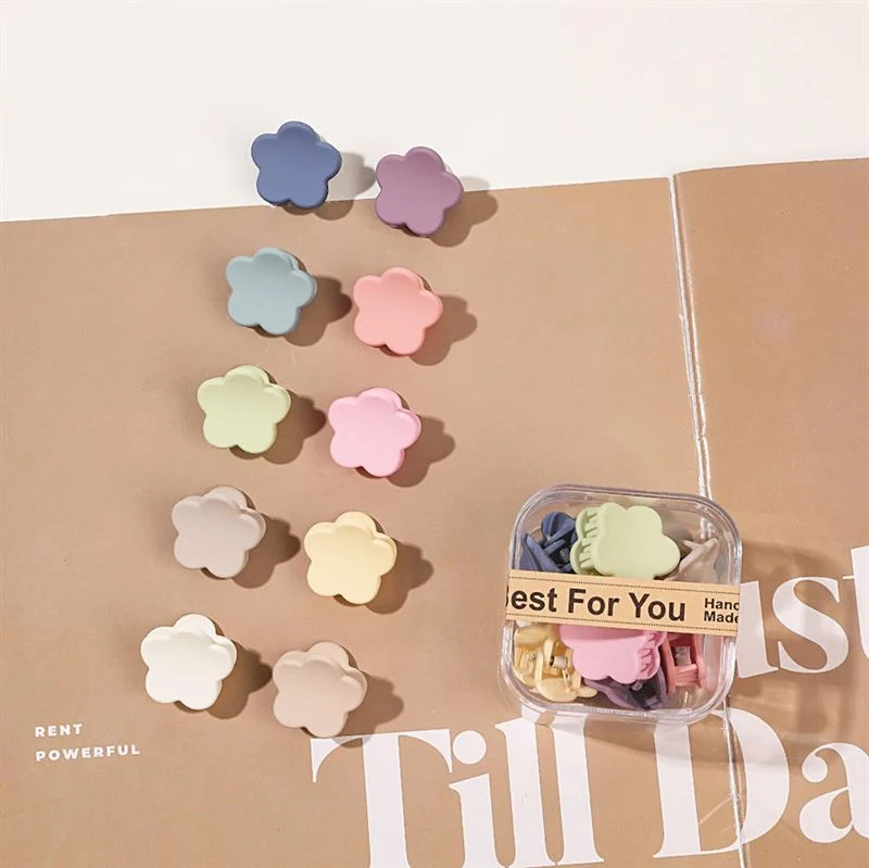SOHO Mini-Haarspangen – 10er Pack Blütenform Pastell