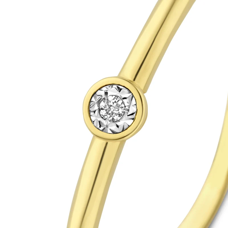 Isabel Bernard De La Paix Inaya 14 Karat | Gold Ring | Diamant 0.01 Karat | IBD330027-60