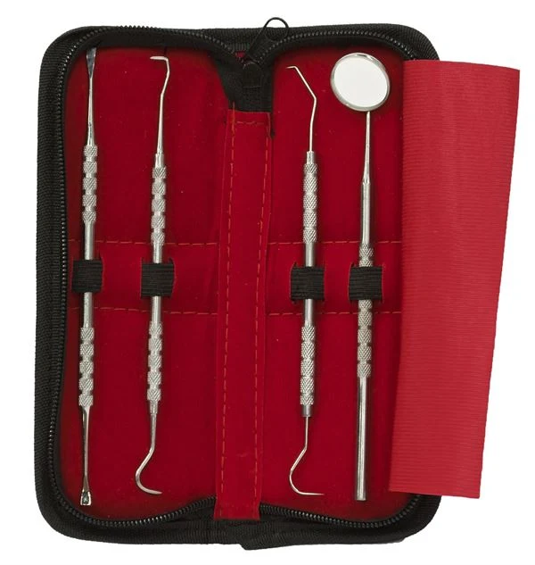 Zahnreinigungsset 4 teilig für Dental Hygiene - 1 Mundspiegel, 2x Kürette Zahnreiniger, 1 Schaber