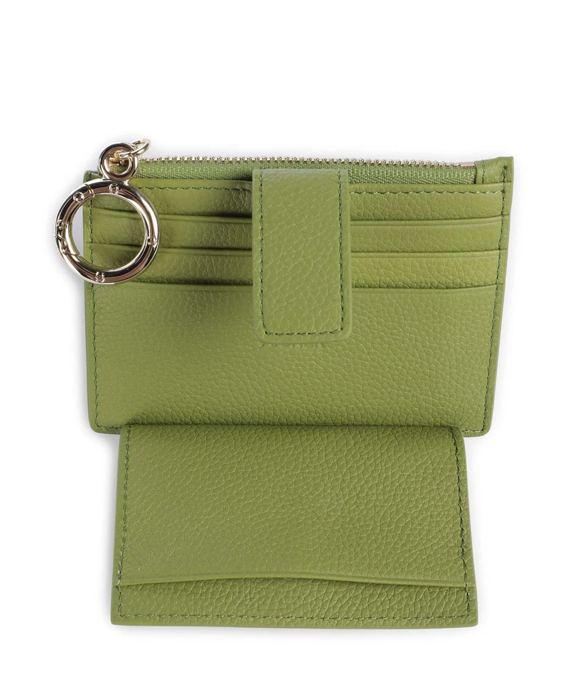 Aigner Zita Kreditkartenetui pistachio green